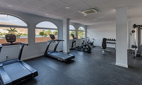 Gimnasio vac&iacute;o con bicicletas, pesas y cintas de correr, vista al exterior.