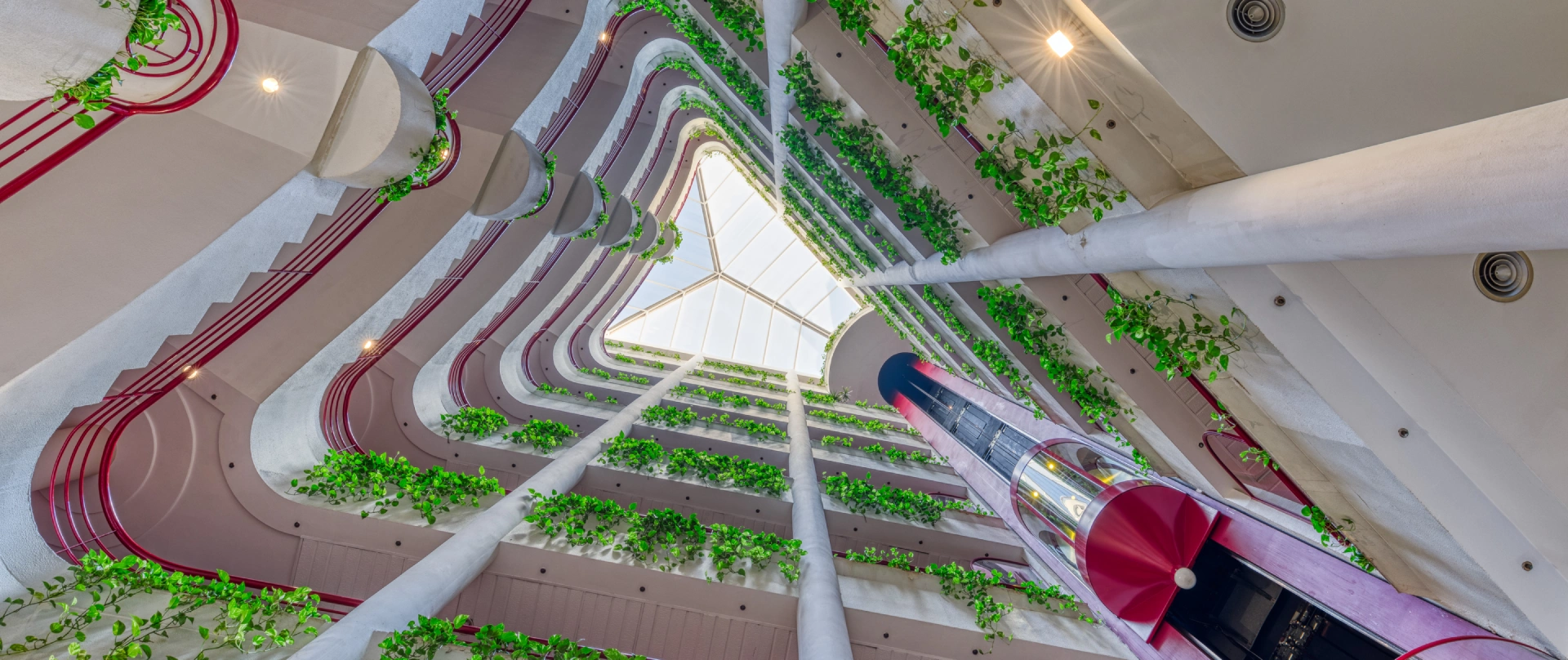 Interior de escalera con pasillos curvos, luces y plantas verdes decorativas