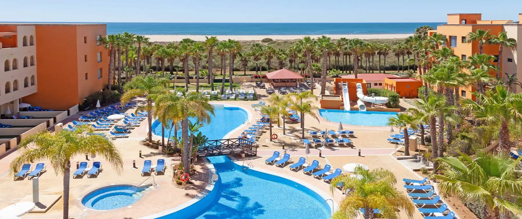 Piscina y palmeras en hotel junto al mar, con tumbonas y sombrillas