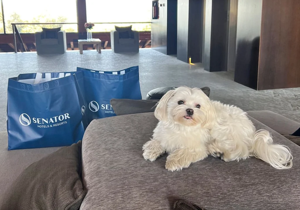 D&oacute;nde viajar con perros en Espa&ntilde;a: Mejores destinos - Senator Hotels &amp; Resorts