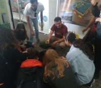 Taller sobre Compostaje de Residuos Vegetales en Hoteles dentro del II AmBioblitz de la Universidad de Almer&iacute;a - Senator Hotels &amp; Resorts