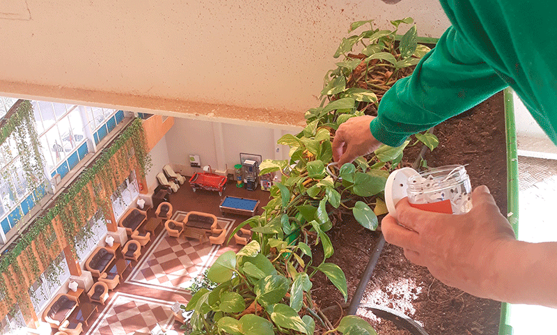Control ecológico de plagas y enfermedades en los jardines de Senator Hotels & Resorts - Senator Hotels & Resorts