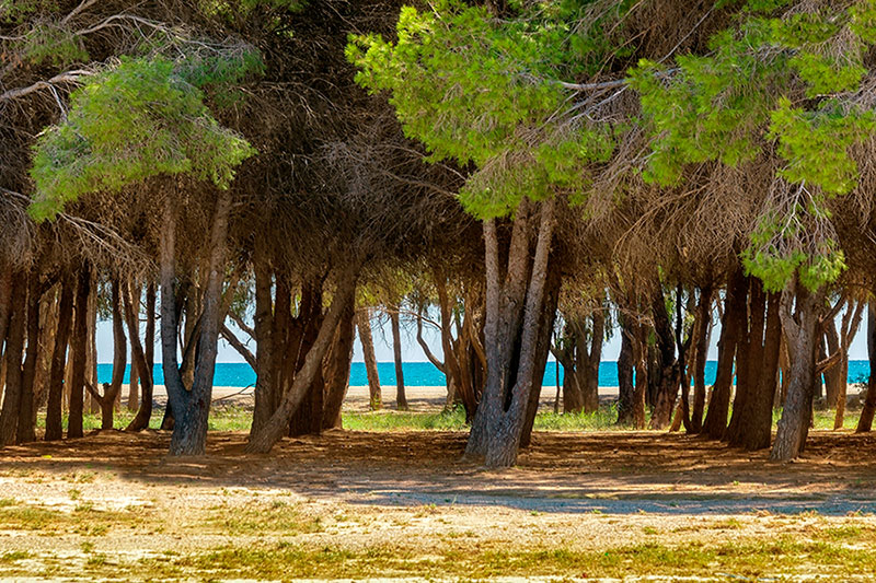Mejores playas naturistas provincia de Almería