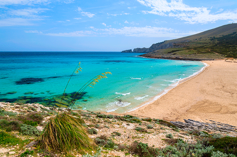 Cala Mesquida