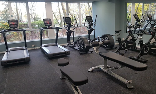 Gimnasio con cintas, bicicletas est&aacute;ticas y equipo de pesas cerca de una ventana.