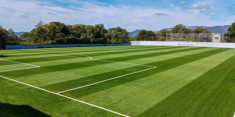 Campo de f&uacute;tbol de c&eacute;sped verde con &aacute;rboles al fondo.
