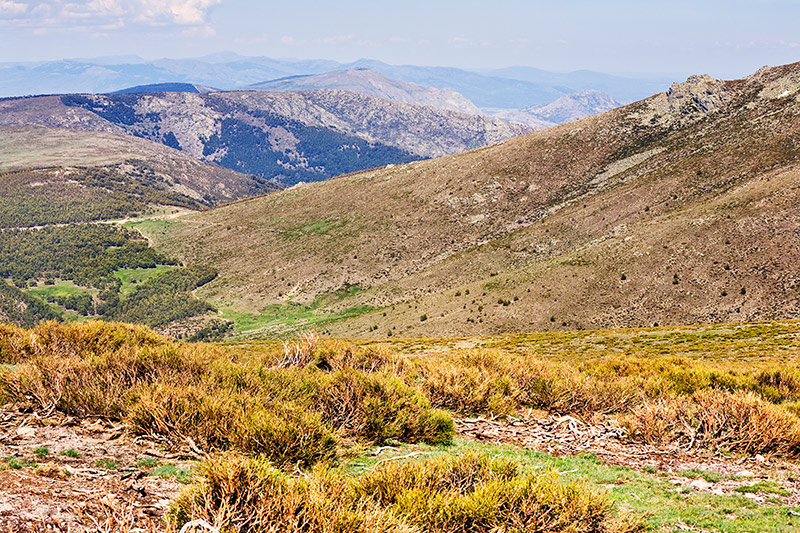 Miraflores de la Sierra