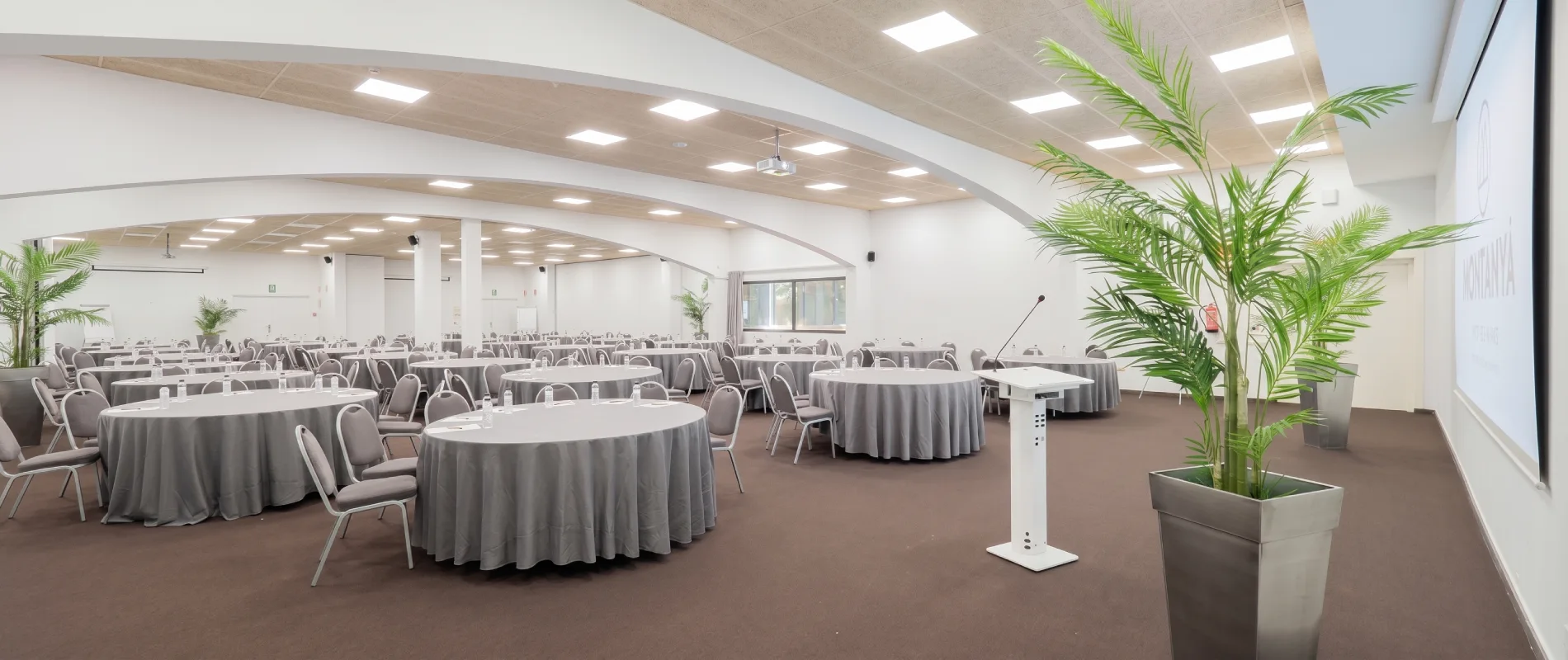 Sal&oacute;n de eventos amplio con mesas redondas y plantas verdes decorativas.