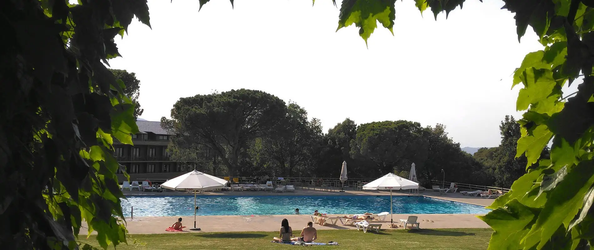 Piscina al aire libre con tumbonas y dos carpas, vista entre hojas verdes