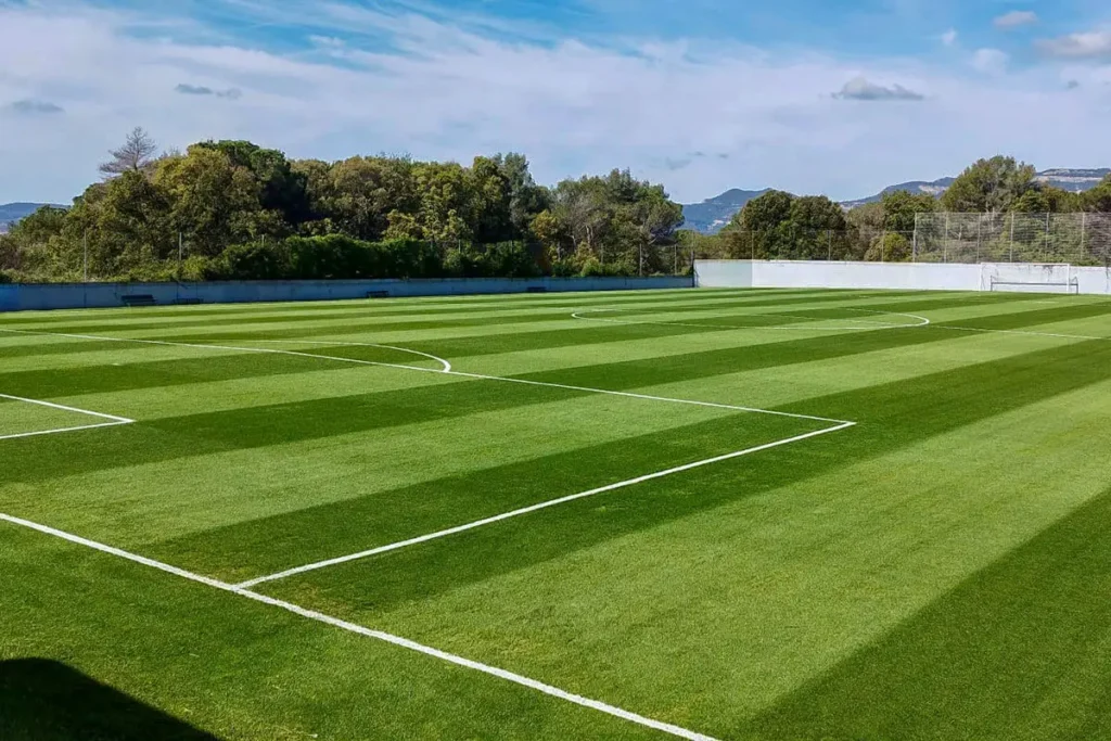 Cancha de f&uacute;tbol de c&eacute;sped artificial con l&iacute;neas blancas y colinas al fondo