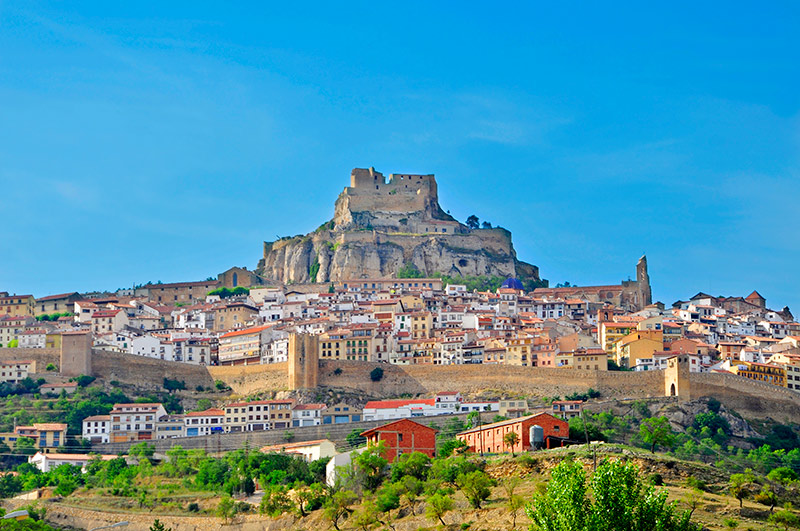 Morella