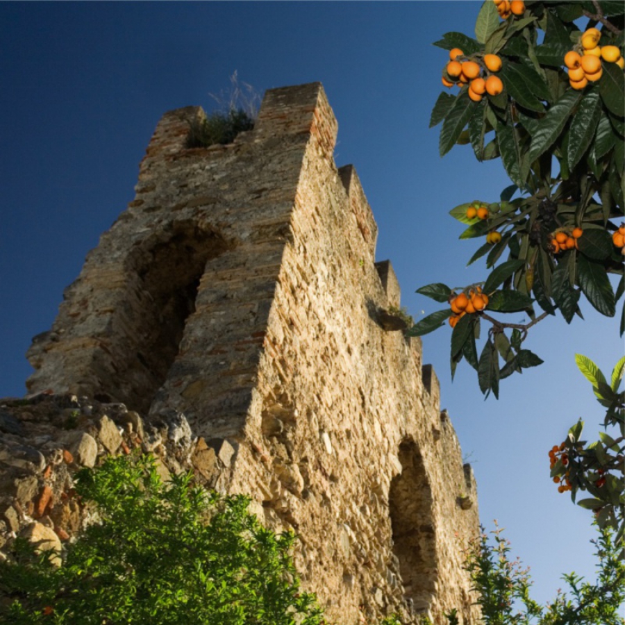 Fortaleza de piedra, murallas de Marbella con un naranjo