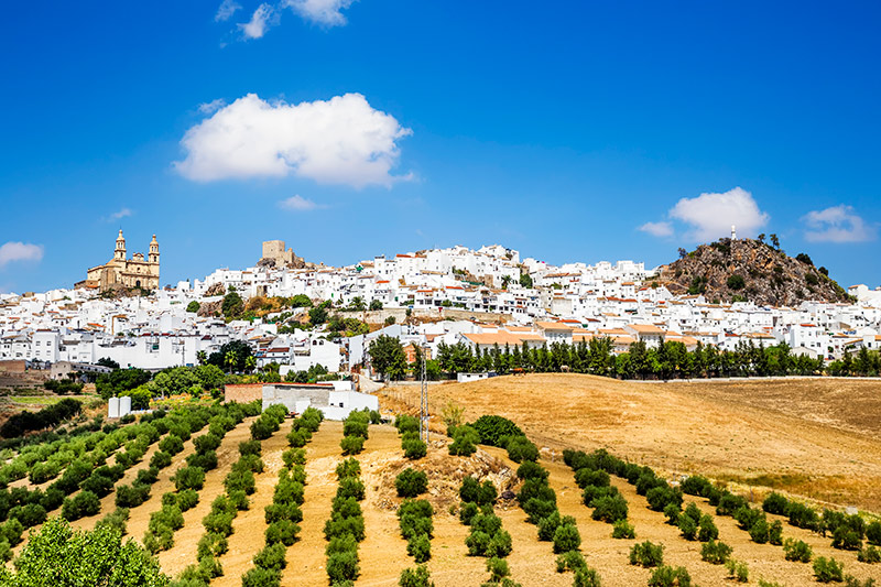 Olvera