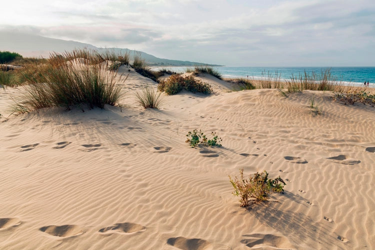 duna-playa-de-bolonia-hotel-wawa-tarifa playa-duna-bolonia-hotel-wawa-tarifa