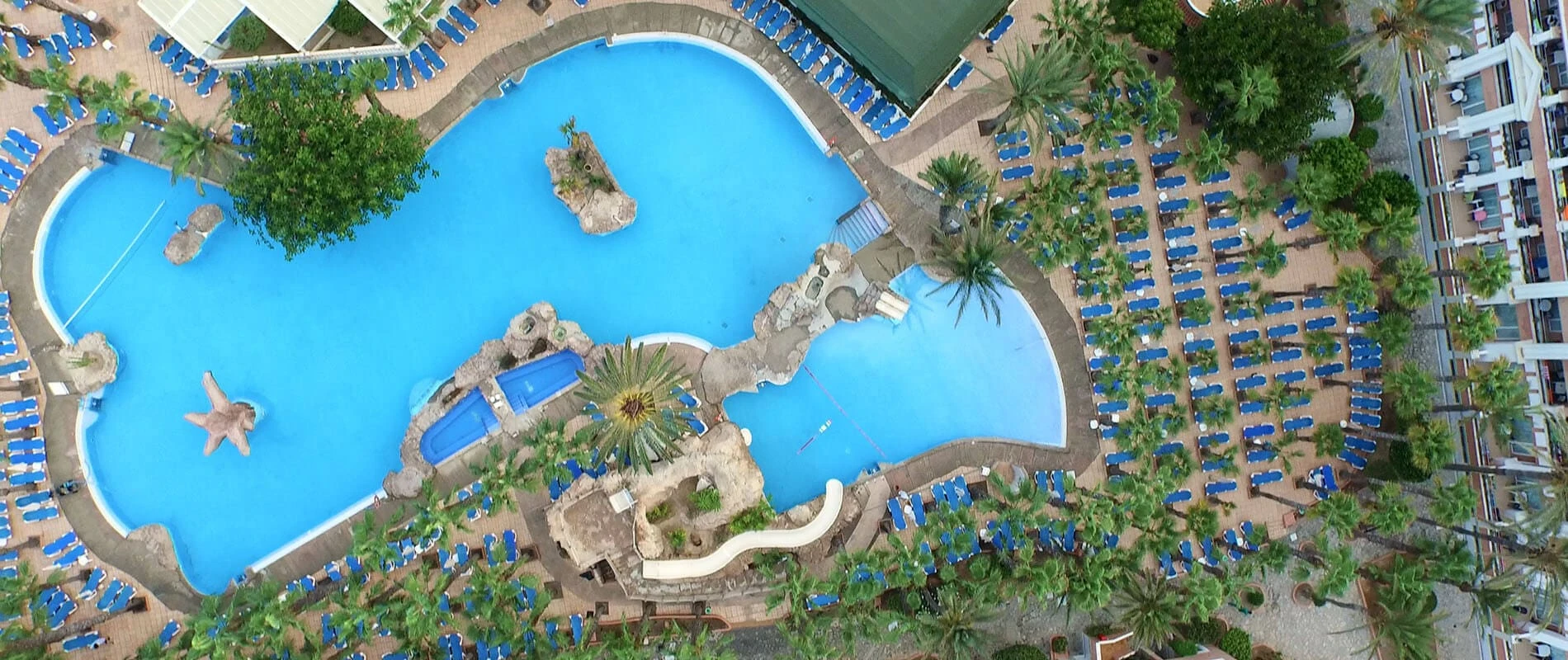 Vista a&eacute;rea de dos piscinas azules rodeadas de palmeras y tumbonas azules.