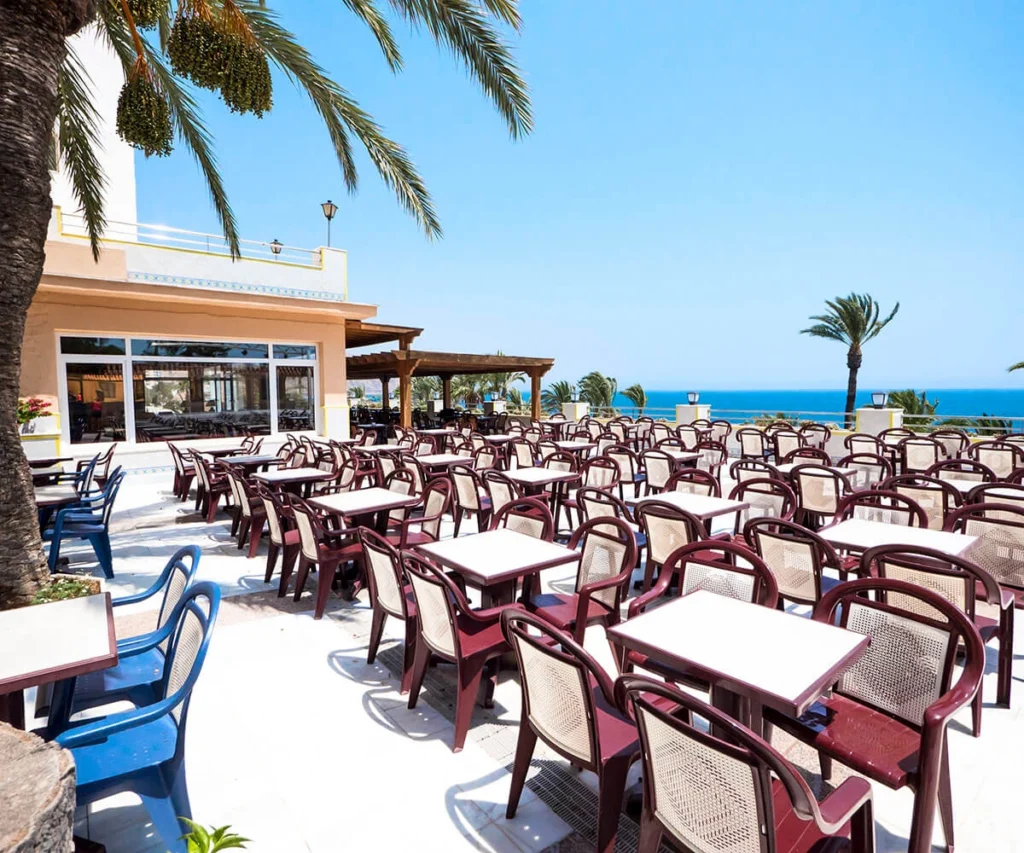 Terraza de hotel con mesas y sillas, palmeras y vista al mar azul