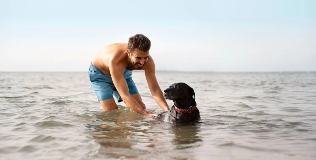 zonas-caninas-españa playa-perros-zonas-caninas