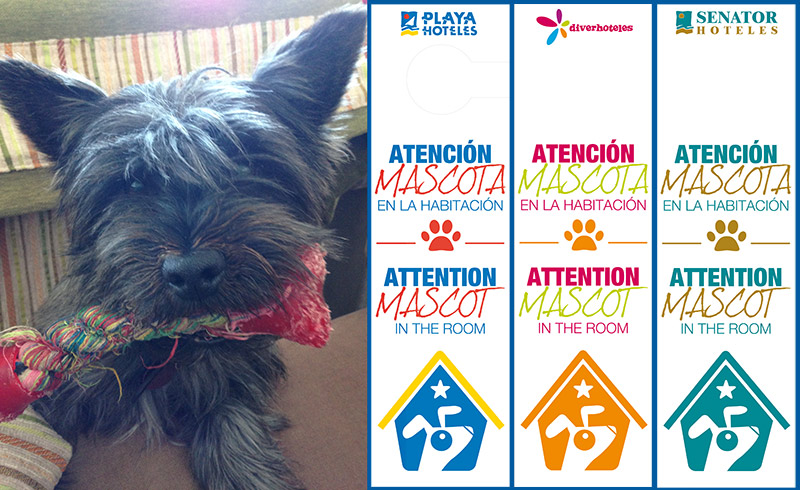 Viajar con mascotas