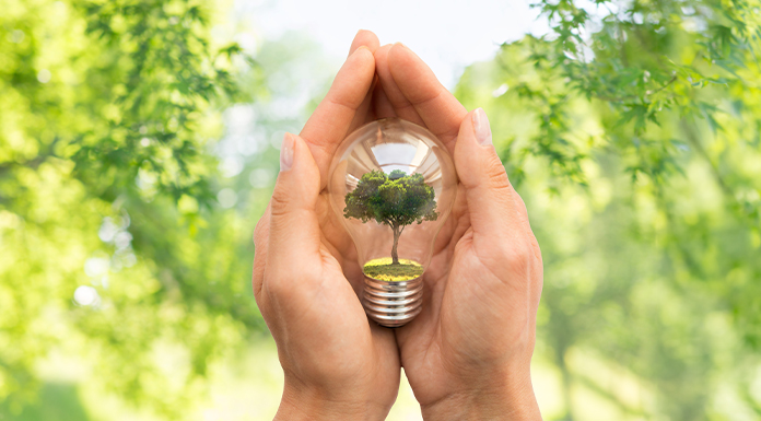 Día del Ahorro de Energía: Un Compromiso para un Futuro Sostenible - Senator Hotels &amp; Resorts