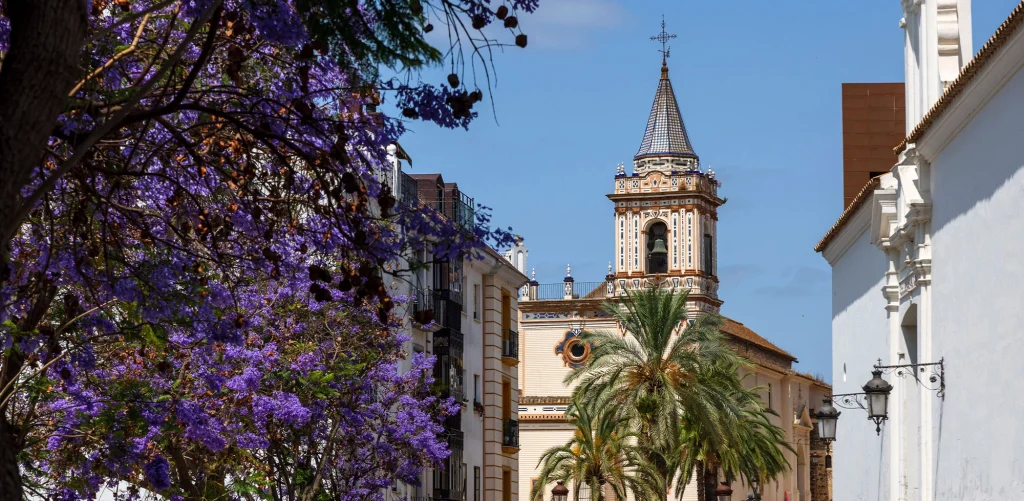 Paisaje de enredaderas violetas en Huelva con la Torre - Campanario de la Iglesia de San Pedro de fondo en el centro de Huelva