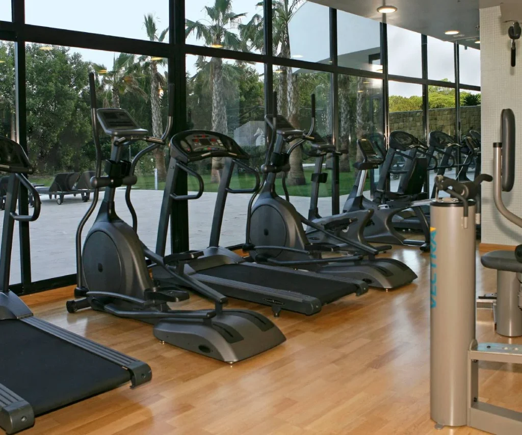 Sala de gimnasio con varias bicicletas el&iacute;pticas y m&aacute;quinas de cardio frente a ventanas.