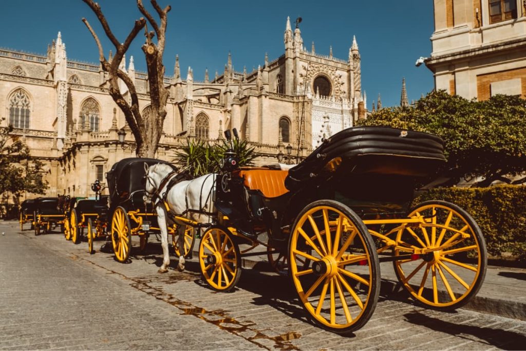 Senator Hotels & Resorts