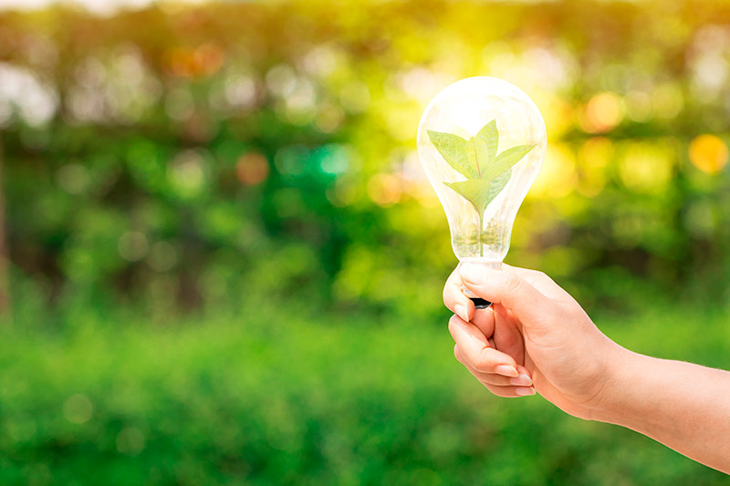 Senator Hotels & Resorts utiliza energ&iacute;a 100 % renovable