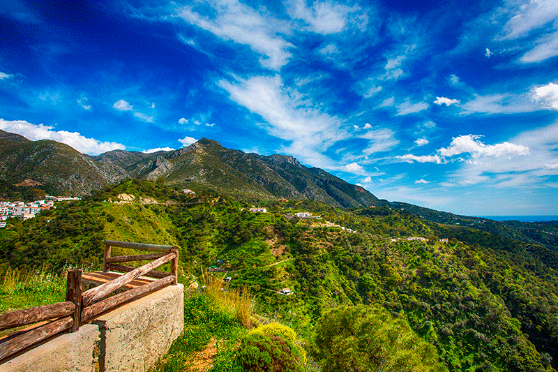 Bosques El Juanar