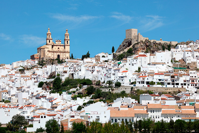 Castillo de Olvera