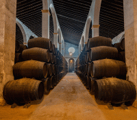 Ruta del vino en C&aacute;diz