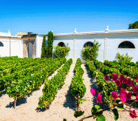 Senator Hotels &amp; Resorts participa en el apag&oacute;n de la Hora del Planeta - Senator Hotels &amp; Resorts