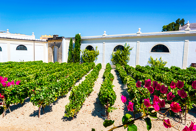 Bodegas de Jerez