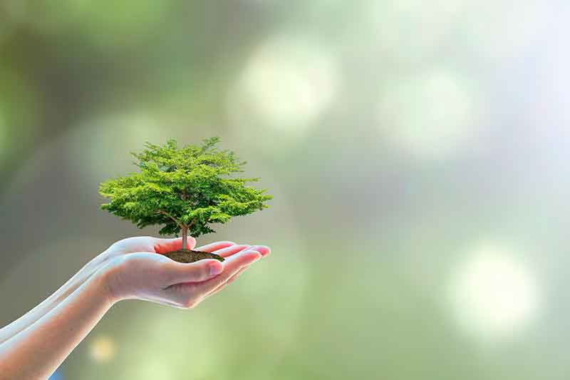 Hotelería Eco-Friendly en Senator Hotels & Resorts