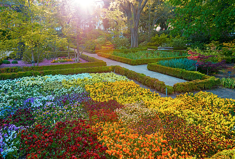 Jardín Botánico de Madrid