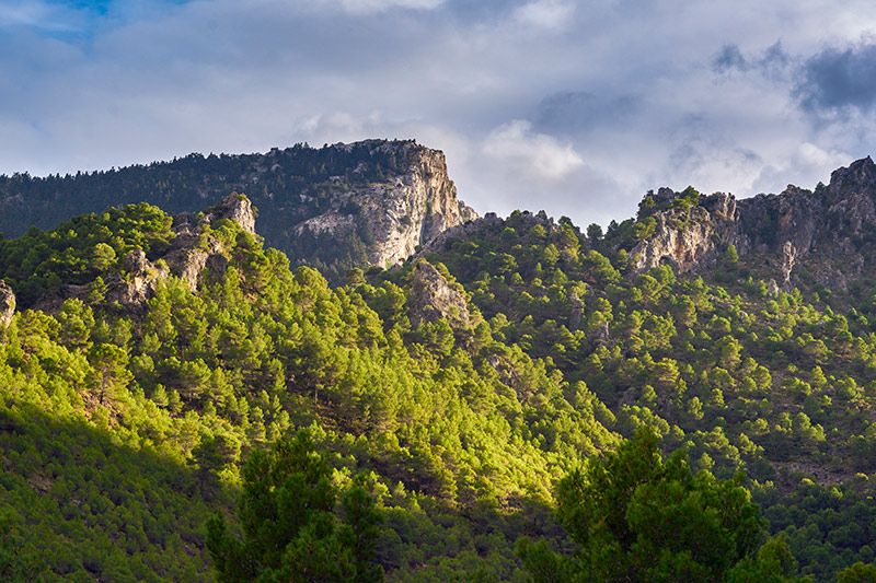 Sierra de las Nieves