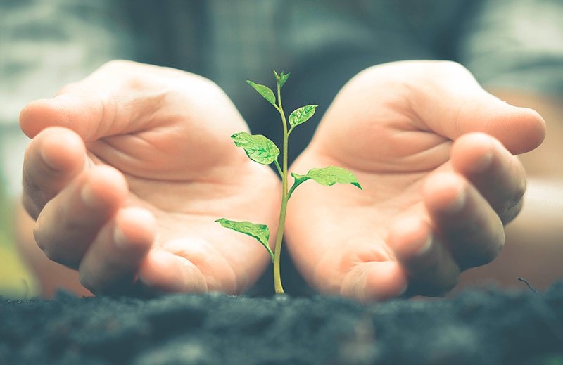 Senator Hotels & Resorts recibe el sello de su huella de carbono para combatir el cambio climático