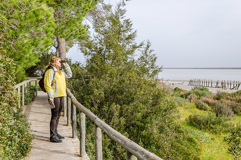 Rutas de Doñana