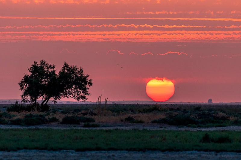 Parque de Doñana 