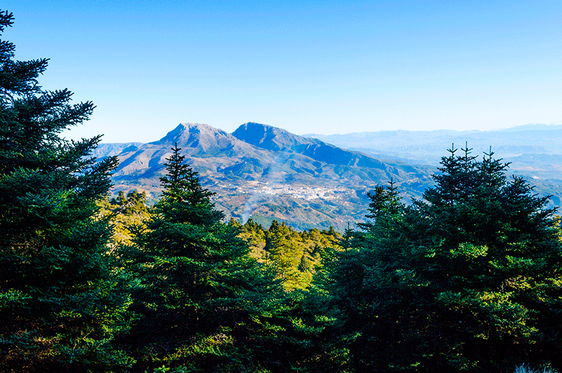 Los bosques más bonitos para recorrer en Andalucía - Senator Hotels &amp; Resorts