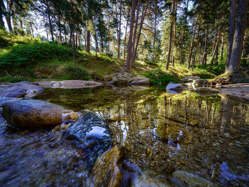 Sierra de Navacerrada con lago y vegetación en Madrid