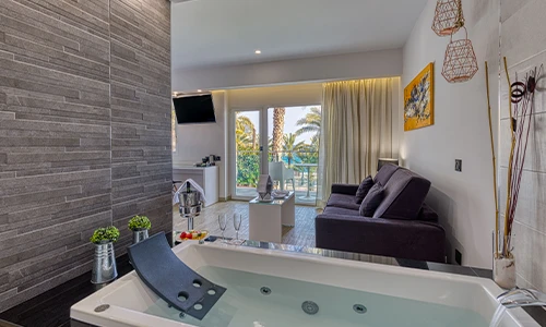 Habitaci&oacute;n moderna con jacuzzi, sof&aacute;, televisor y vista a jard&iacute;n con palmeras.