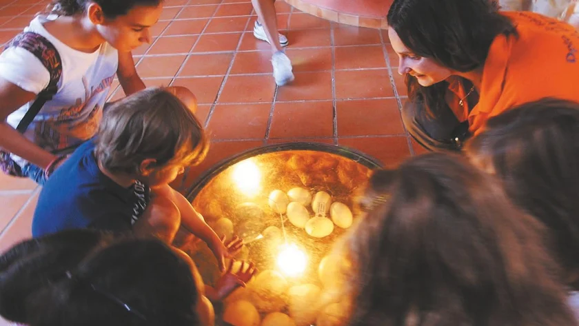 News - Senator Hotels &amp; Resorts