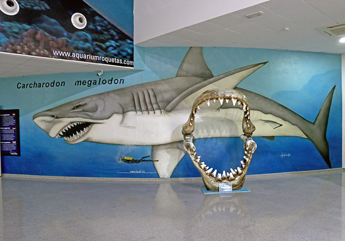 Aquarium Roquetas