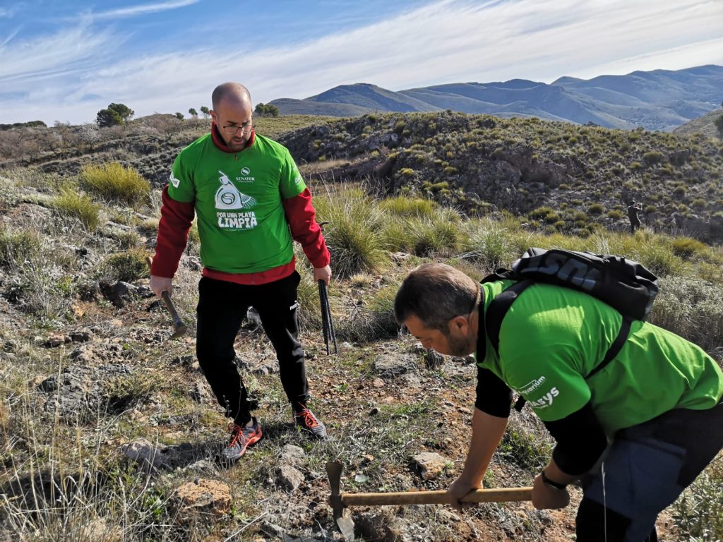 Senator Hotels &amp; Resorts participa en la reforestaci&oacute;n de la sierra de G&aacute;dor - Senator Hotels &amp; Resorts