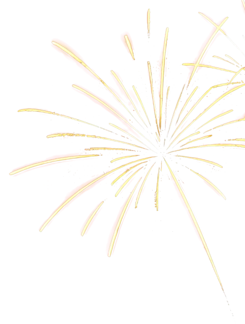 Silvester und Weihnachten - Senator Hotels &amp; Resorts