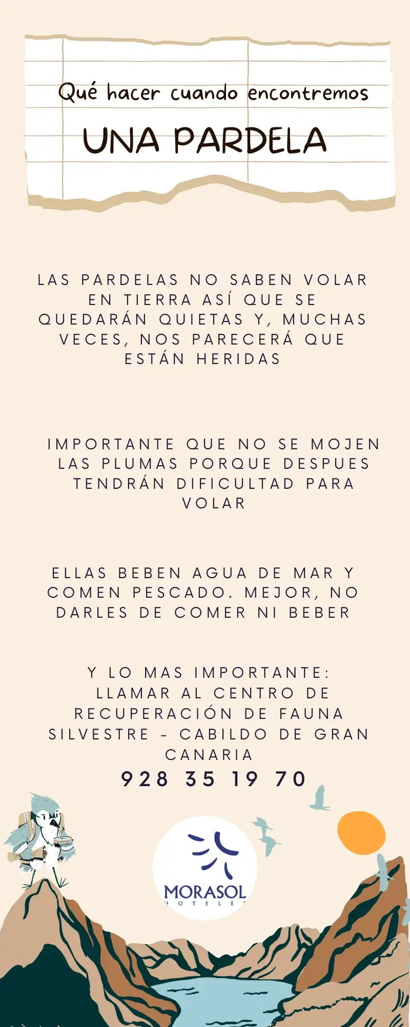 Imagen Espa&ntilde;ol