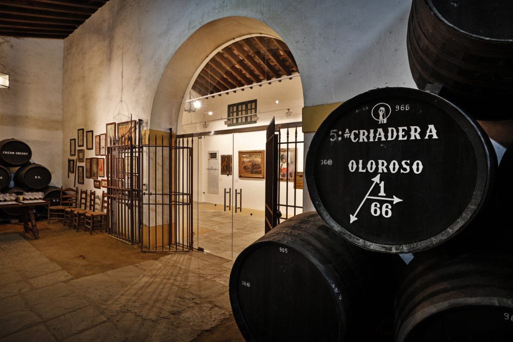 QUE FAIRE EN AUTOMNE ET EN HIVER À CADIX : DÉCOUVREZ LA MAGIE DE ROTA ET JEREZ AVEC DE CHARMANTS HÔTELS ANDALOUS - HACE