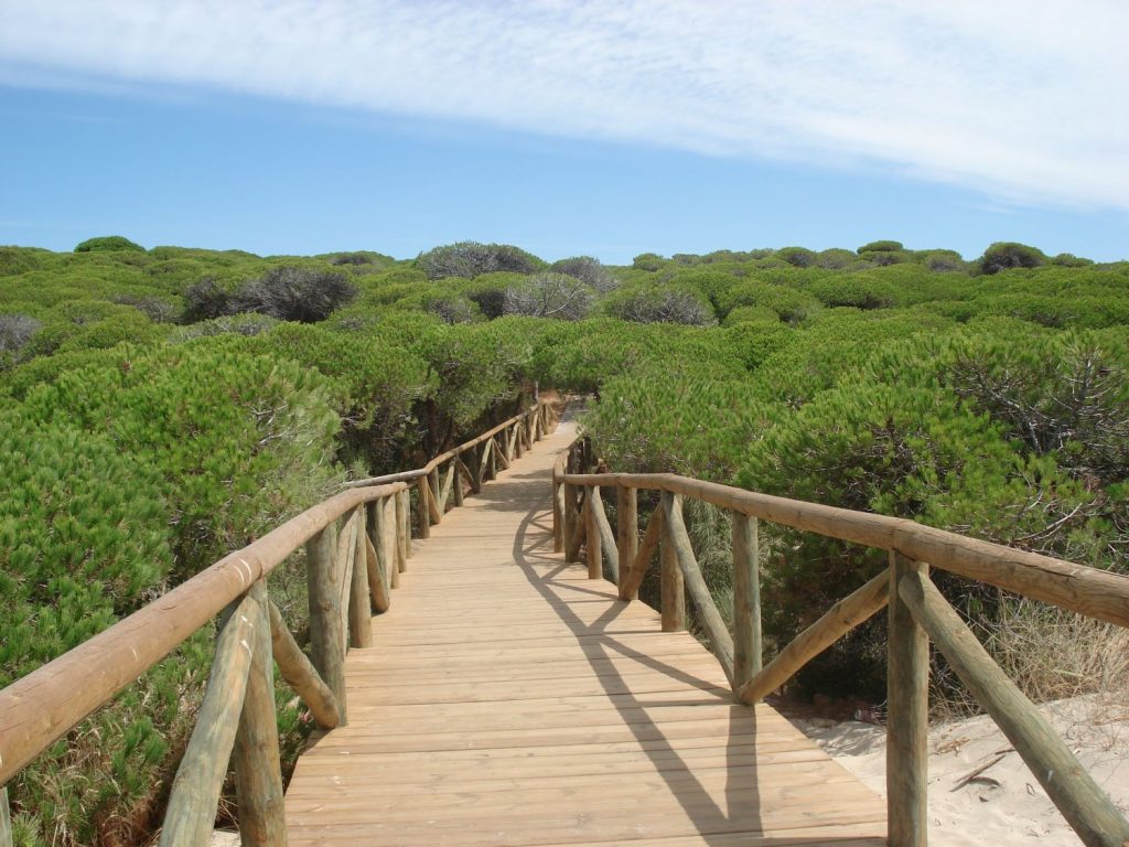 QUÉ HACER EN OTOÑO E INVIERNO EN CÁDIZ: VIVE LA MAGIA DE ROTA Y JEREZ CON HOTELES ANDALUCES CON ENCANTO - HACE