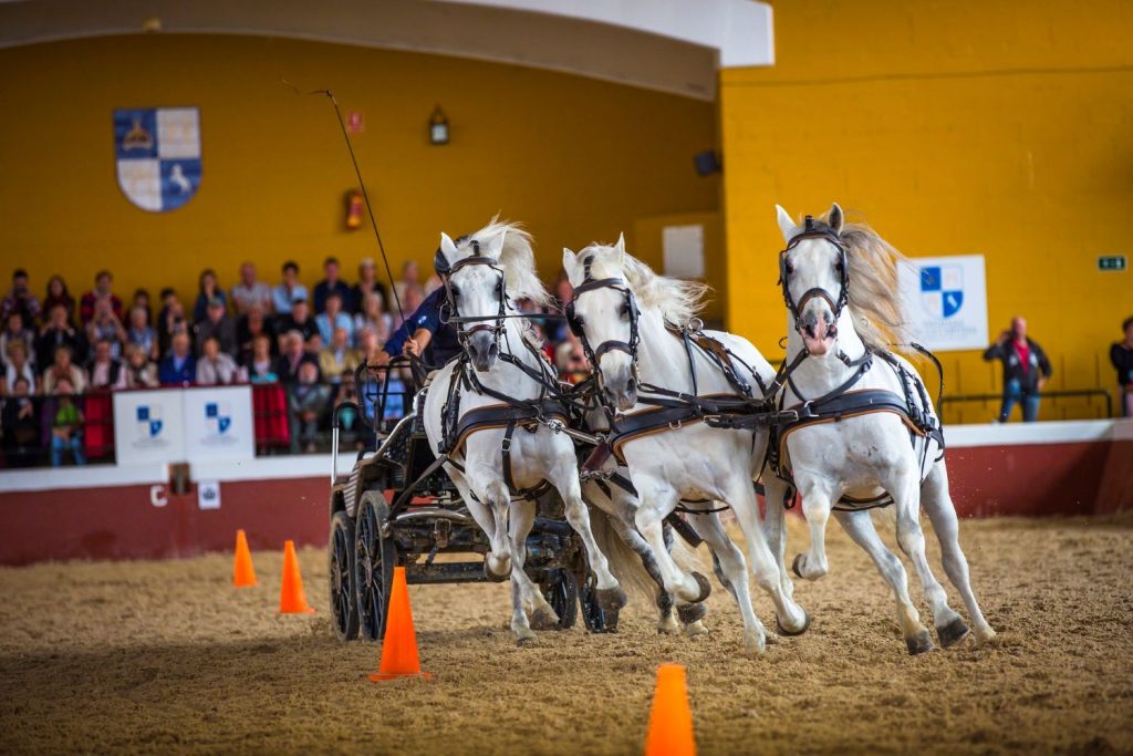 QUE FAIRE EN AUTOMNE ET EN HIVER À CADIX : DÉCOUVREZ LA MAGIE DE ROTA ET JEREZ AVEC DE CHARMANTS HÔTELS ANDALOUS - HACE