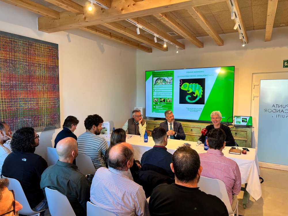 First Seminar on the Conservation of the Common Chameleon - HACE